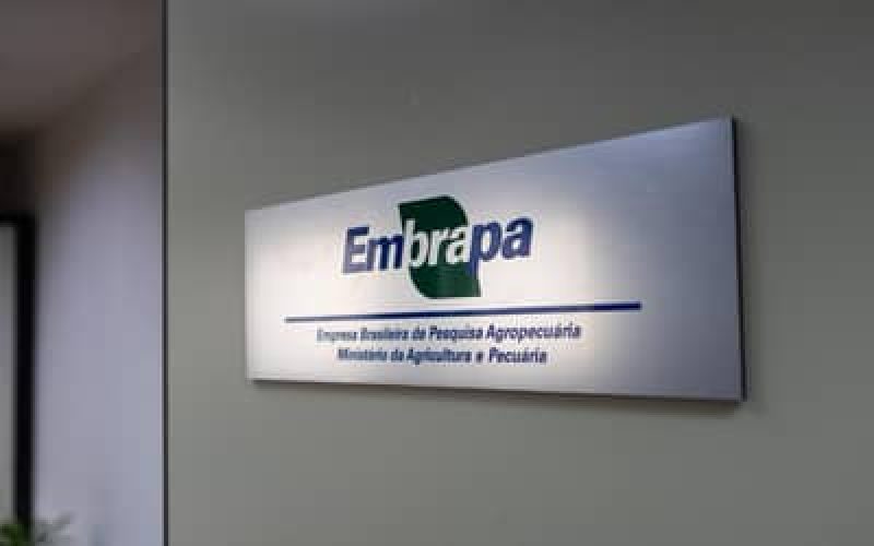 EmbrapainauguraescritrioemSoPauloSPefirmaparceriacomGrupoCarrefourBrasil_0961672001780473970.jpeg