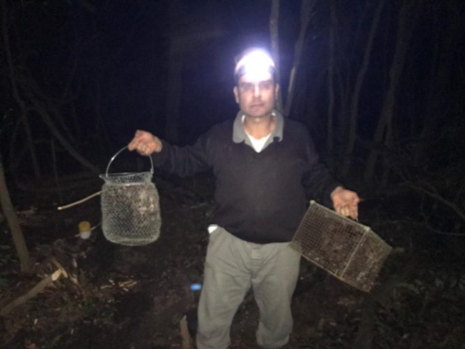 Fiscal estadual agropecuário Augusto Scheeren na captura de morcegos