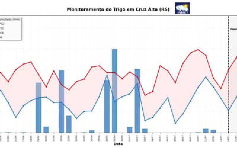 INMETemitealertafitossanitrioparalavourasdetrigonoSulapsaumentodaschuvas_0717796001784620868.jpeg