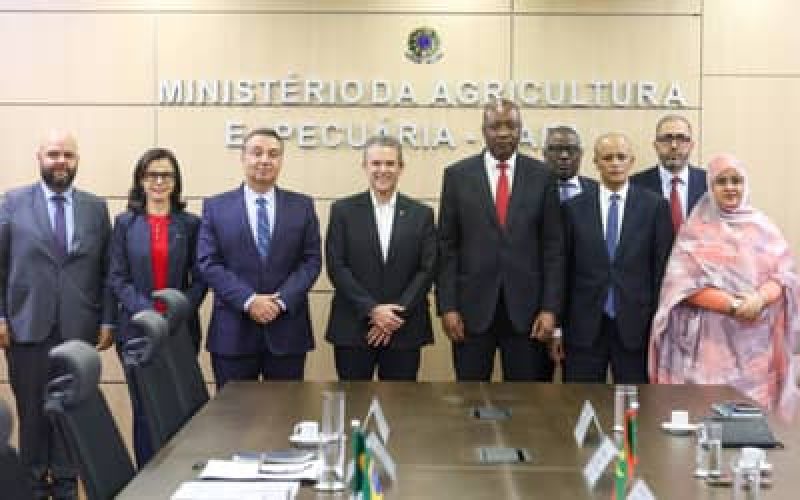 MinistriodaAgriculturadiscuteparceriaemgenticabovinaenegociaaberturademercadocomaMauritnia_0977068001777449995.jpeg