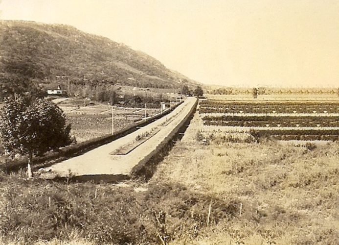 Osório Estação Experimental 1942 - Arquivo DDPA