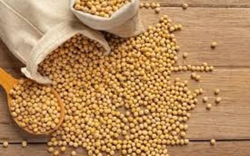 Sojaetrigoconfiraascotaesdepreoparaestaquarta-feira29_0788726001761722347.jpeg Sojaetrigoconfiraascotaesdepreoparaestaquarta-feira29_0788726001761722347.jpeg