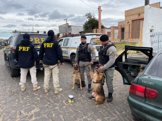 WhatsApp Image 2024-07-09 at 17.16.11