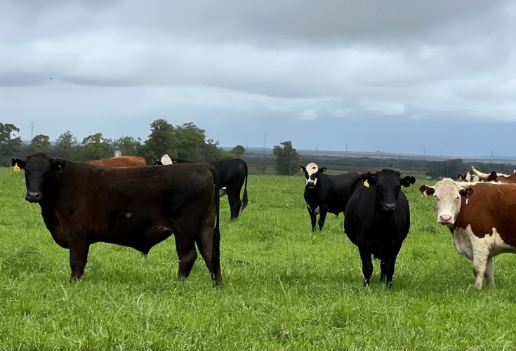 a842b8cd-56ac-4c6e-80b7-b4d7709b73f6