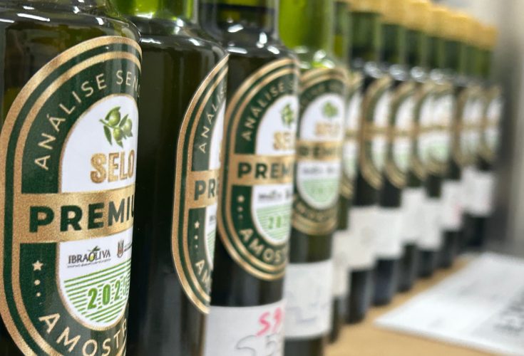 a92538a4-1a73-4fd0-a96e-70bbdafaf54a