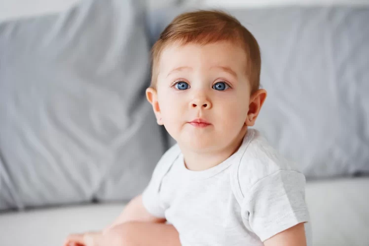 bebe