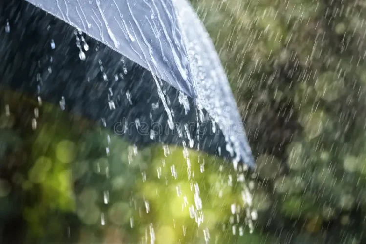 chuva-no-guarda-chuva-60103375