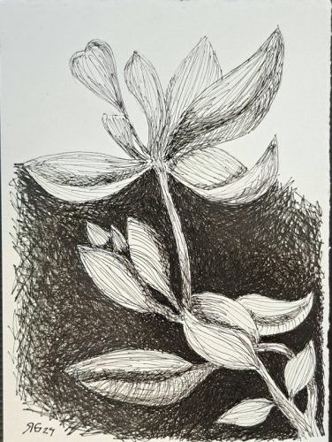 Exposição “UNA”, de Roberto Galvão, reúne obras em Fortaleza