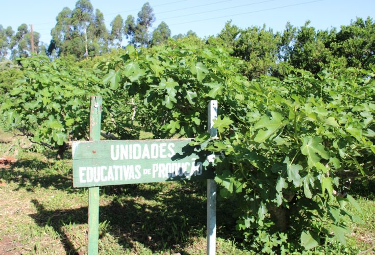 ede4ed23-f034-4998-b586-d48f86fef3aa