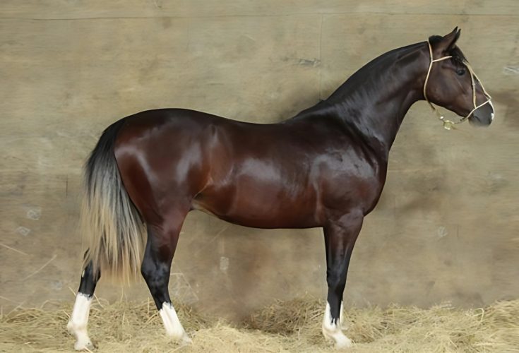 fb6c4228-8722-472b-959d-3b8e7001d2d6