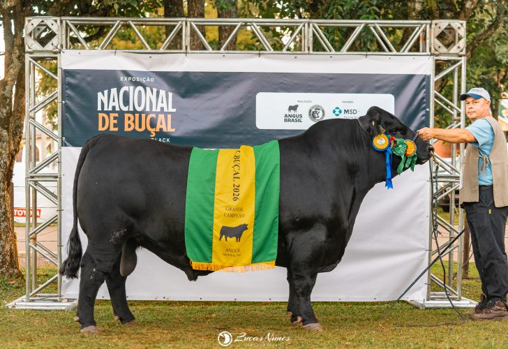 fotografia Lucas Nunes-09406.JPG