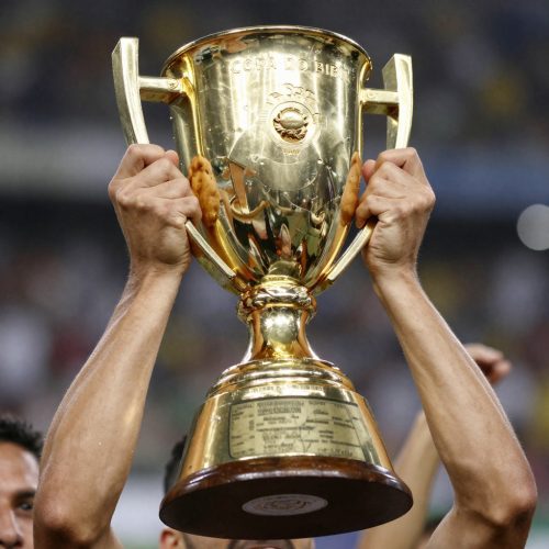 freepik__closeup-of-copa-do-brasil-trophy-with-engraved-det__79328