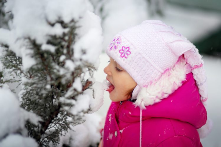 A little girl on the street in winter licks the snow with her tongue right from the bush. Danger of getting sick, children's pranks
