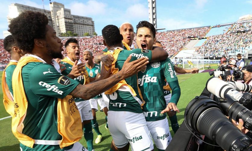 palmeiras