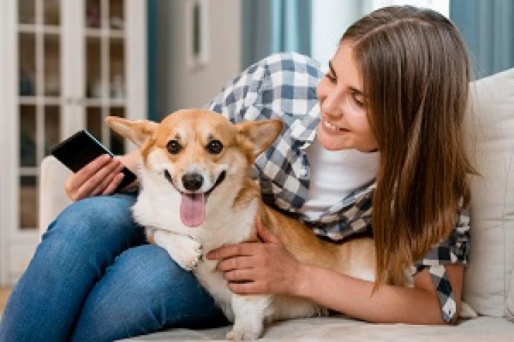 pet