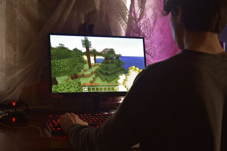 monitor