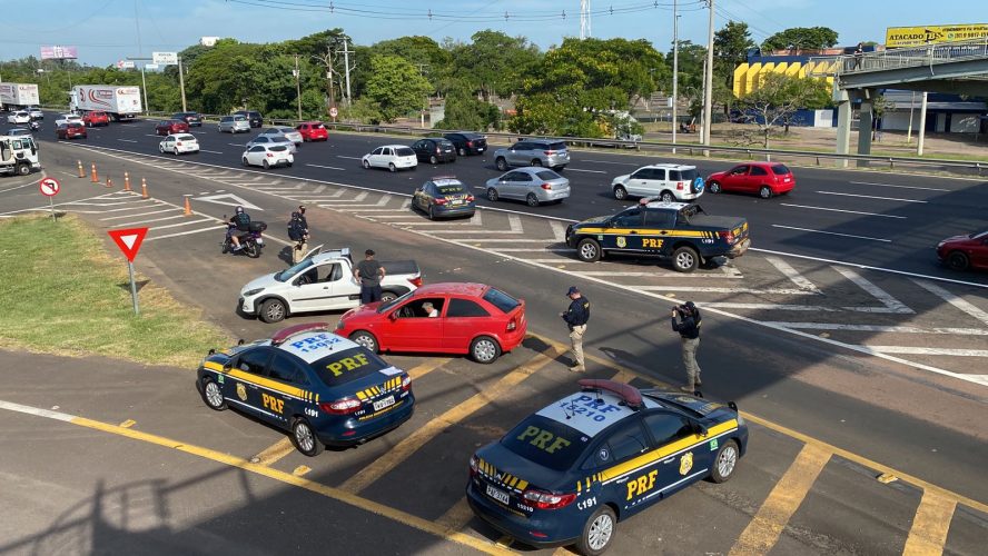 rodovida