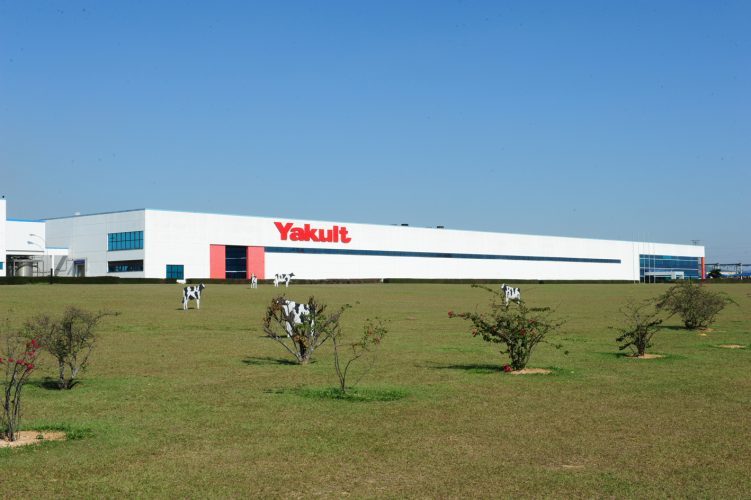 yacult
