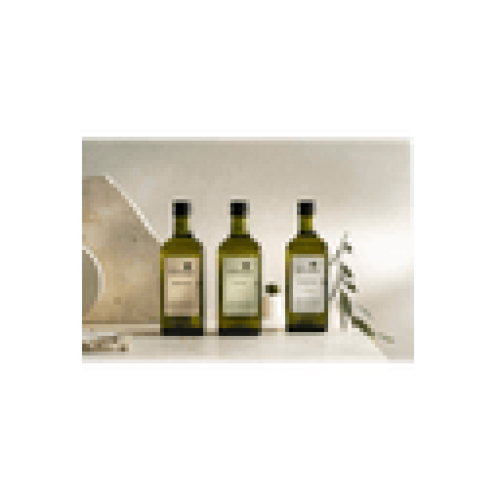 zuccardi-todos1